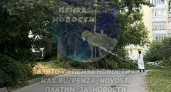 В Пензе на улице Силикатной рухнувшее дерево заблокировало дорогу и оборвало провода
