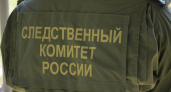 Житель Каменки предстанет перед судом за нападение на сотрудника полиции