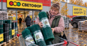 Дачники скупают в «Светофоре» пластиковую сетку: осенью один рулон закрывает сразу 4 проблемы на участке