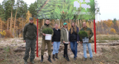 В Пензенской области в рамках акции «Сохраним лес» будет высажено свыше 50 тыс. деревьев