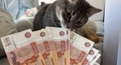 20-летняя жительница Заречного, обманутая «силовиком», лишилась более миллиона рублей