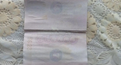 Жительница Наровчатского района попалась на подделке паспорта для дочери