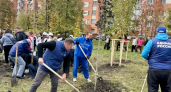 В Пензе состоялся финальный этап озеленения в 2026 году