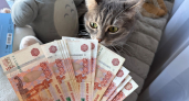 В 2026 году свыше 400 пензенских многодетных семей оформили выплату для погашения ипотеки через Госуслуги
