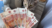 Жительнице Неверкинского района грозит уголовное наказание за хищение соцвыплат