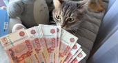 Жительнице Неверкинского района грозит уголовное наказание за хищение соцвыплат