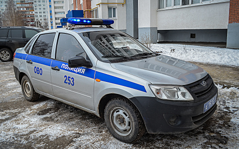 Орудовавший под Пензой дачный взломщик задержан полицейскими