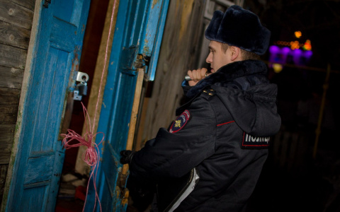 Сосновоборец совершил разбой с помощью ножа для убийства свиней