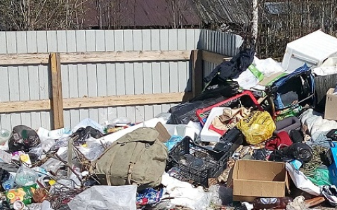 Бесснежная зима открыла в Пензе скопления мусора