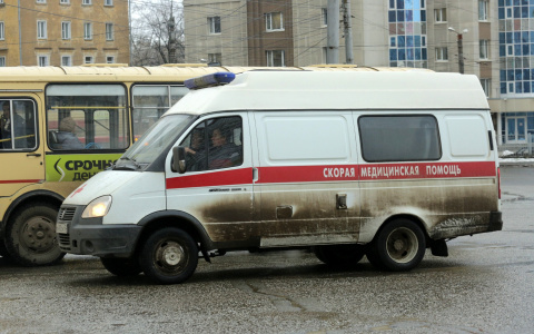 Названа предварительная причина гибели девочки в Земетчинском районе
