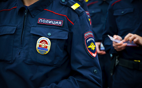 Неудачливые сельские воры из Ломова пришли с повинной после кражи