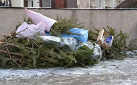 Пензенцам не удалось найти  полезное применение новогодним елкам