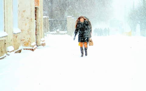 В Пензе пять управляющих компаний оштрафуют за плохую работу