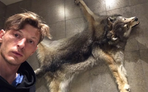 Павел Воля спрашивает у фанатов, как спастись в лесу от волков