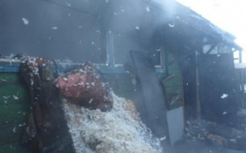 Горящий дом в Кузнецке тушили 15 человек