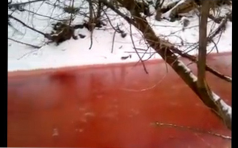 В Ухтинке потекла кровавая река - Соцсети