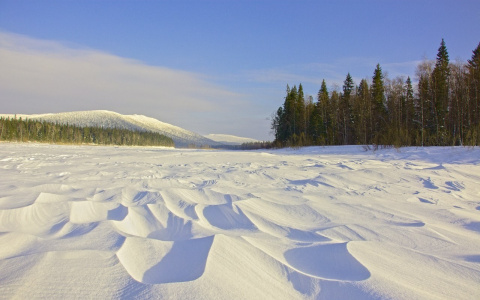Жители региона спасли целый лес, собрав 500 тонн макулатуры