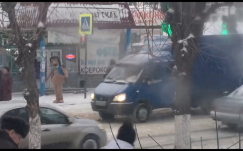 В Пензе гигантский еж переводит бабушек через дорогу