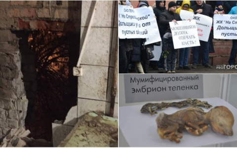 Пенза за день: обвал стены дома, решение вопроса дольщиков, музей патологической анатомии