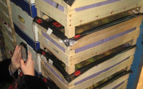 В Пензе уничтожено 245 килограммов польских груш и яблок