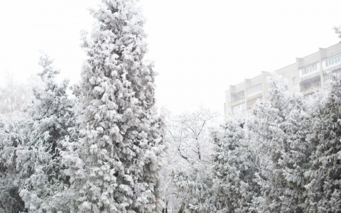 В Пензе морозы до – 30 градусов продержатся до конца зимы, — МЧС