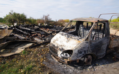 27-летний житель Никольского района заживо сгорел в салоне "ВАЗ-2199"