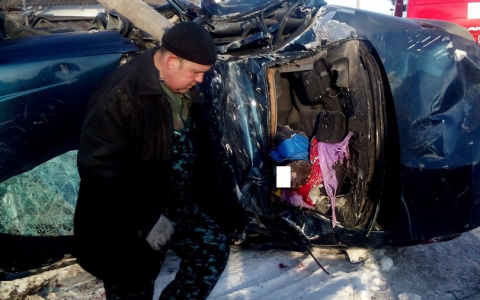 В Никольском районе легковушка влетела в столб, двое погибли