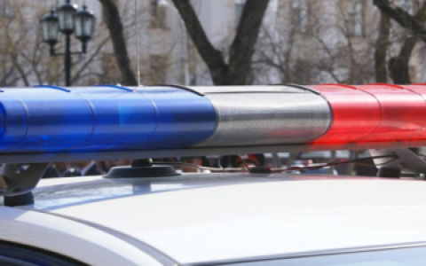 В Арбекове 16-летняя пензячка попала под колеса автомобиля