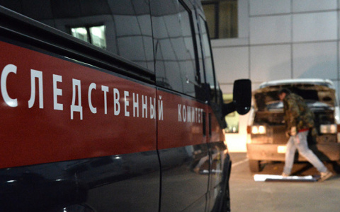 Новости России: под Хабаровском нашли около 50 спрятанных кистей человеческих рук