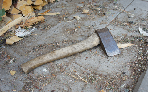 В Каменке осудят мужчину, пытавшегося зарубить шестилетнего пасынка топором