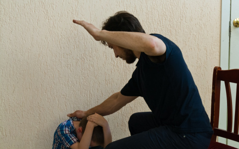 В Каменке отчим ударил топором 6-летнего пасынка