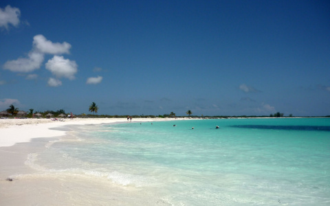 Легко и просто: узнайте самые выгодные спецпредложения от турфирм