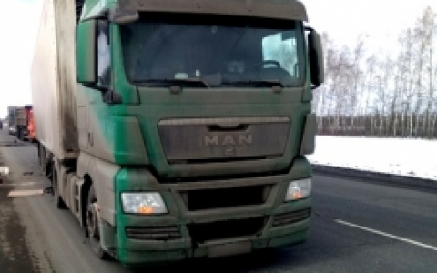 В Нижнеломовском районе столкнулись фура MAN и "ВАЗ", пострадала женщина