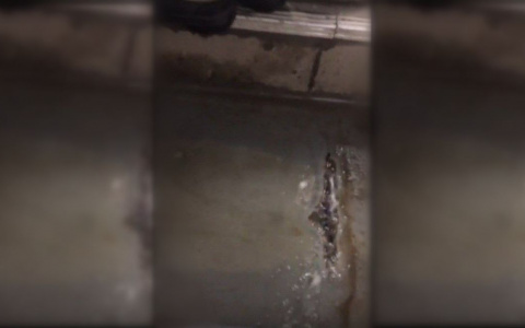 По Пензе можно проехать на передвижном фонтане