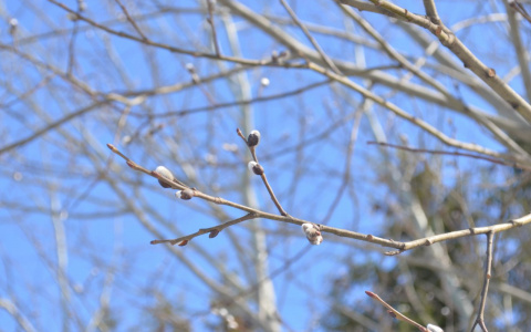 Прогноз погоды на Пасху 8 апреля