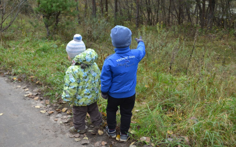 В Пензе нетрезвый мужчина увез у матери шестилетнего  ребенка