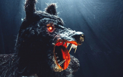 Стоит ли пензенцам бояться пятницы, 13? Отвечают экстрасенс, историк и священник