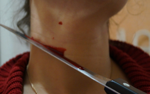 В Лопатинском районе инвалид-колясочник убил сестру