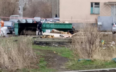 В Терновке мужчину завернули в ковер и подожгли