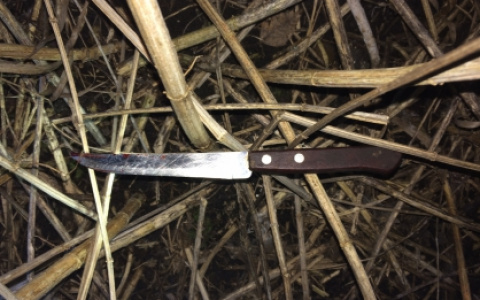 В Лопатинском районе инвалид, убивший сестру, заключен под стражу