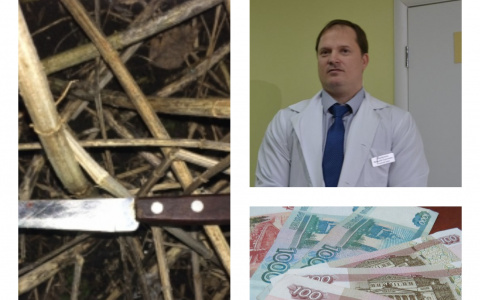 Пенза за день: Убийство сестры, двойная взятка, доходы депутатов
