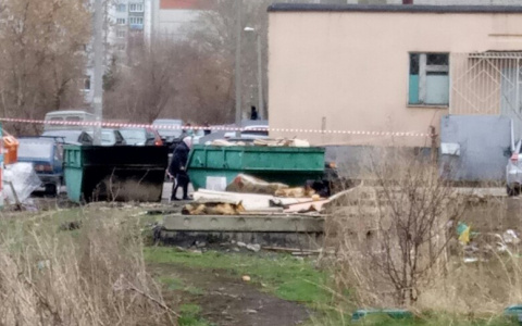 Стали известны шокирующие подробности об убийстве бездомного в Терновке