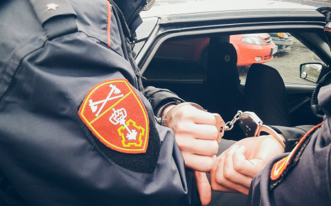 В Пензе росгвардейцы задержали неудачливого угонщика