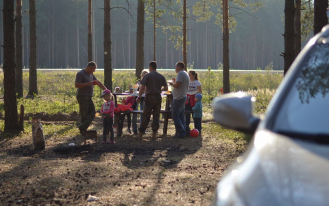 Шесть мест в Пензе, где можно бесплатно устроить пикник на "майские"
