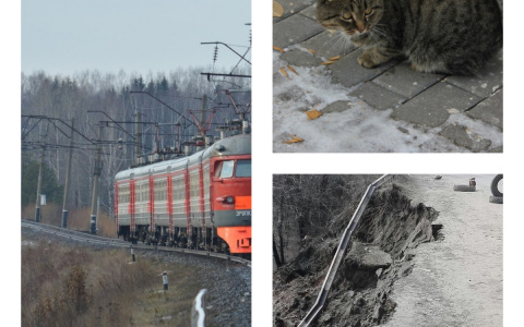 Пенза за день: Погибшая девочка, переполненный приют, рухнувшая дорога