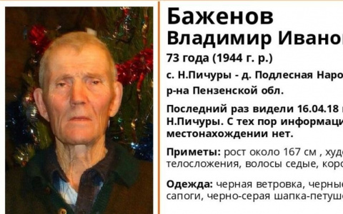 В Пензенской области ищут пропавшего без вести 73-летнего Владимира Баженова