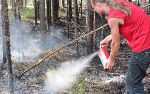 Мошенники под видом МЧС пытаются продать пензенцам огнетушители