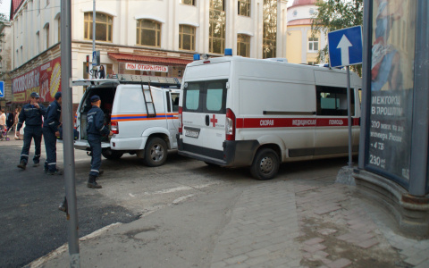 Мать-медработник в Никольске спасла двух дочек, отравившихся угарным газом