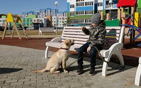 В Спутнике акция «Платим ипотеку за вас» стала популярной