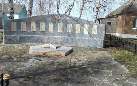 В Лунинском районе жители сами отремонтировали памятник героям Великой Отечественной войны